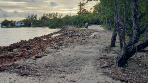 Hurricane Eta's damaged road in Blue Bayou